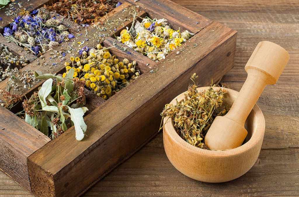 Gentle Approaches to Living with PCOS