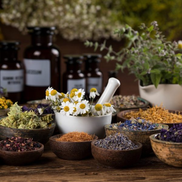 How to Build a Basic Herbal First Aid&nbsp;Kit