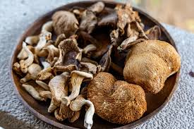 Mushrooms: Nature’s Underrated&nbsp;Superfood