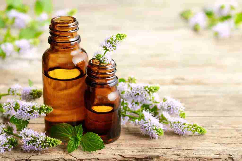 The Power of Herbal Oils for Daily Wellness&nbsp;Rituals