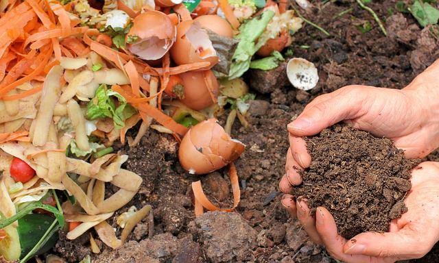 How to Compost at Home: A Beginner Friendly Guide to Natural Composting
