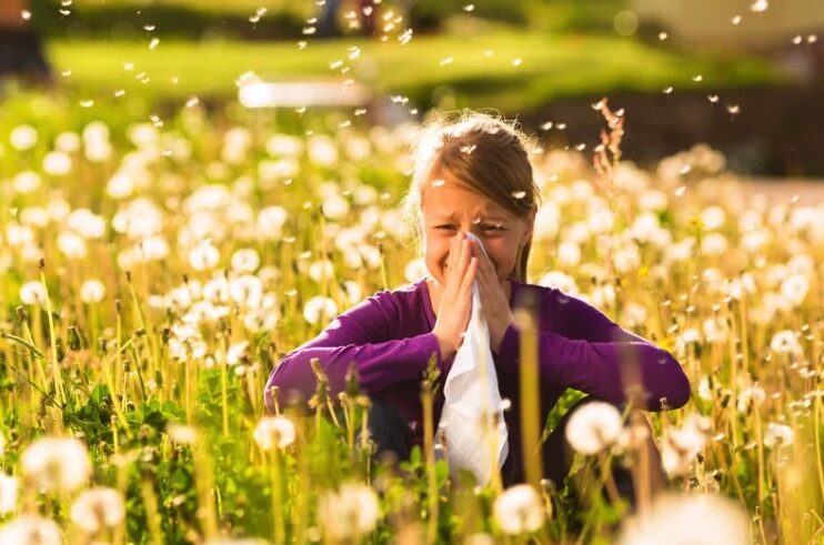 Natural Remedies for Hayfever