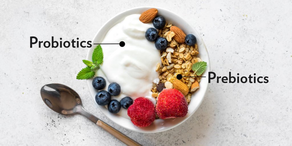 Gut Confusion Ends Here: Prebiotics, Probiotics and Postbiotics Explained&nbsp;Simply
